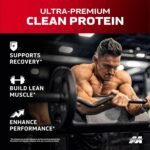 Whey Protein Powder , MuscleTech Nitro-Tech Whey Gold Protein Powder , Whey Protein Isolate Smoothie Mix , Protein Powder for Women & Men , Strawberry Protein Powder, 2 lbs (28 Serv)-package varies - Image 6