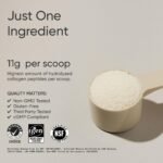 Sports Research Collagen Peptides for Women & Men, Unflavored, 16 oz., Hydrolyzed Type 1 & 3 Collagen Powder Protein Supplement for Healthy Skin, Nails, Bones & Joints - Image 3