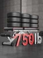 Weight Bench, Adjustable Workout Bench Press Set for Home Gym Full Body Strength Workout, Easy Assembly Foldable Training Lifting Bench, Max Load 750 - Image 5
