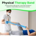 Resistance Bands Set – 5 Loop Natural Latex Exercise Bands with Varying Resistance Levels – Includes Carry Bag & Workout Guide - Image 7