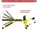 Utility Weight Bench with Leg Extension - Multi-Position Adjustable Bench for Strength Training, Dumbbell Exercise and Ab Workouts - Image 5