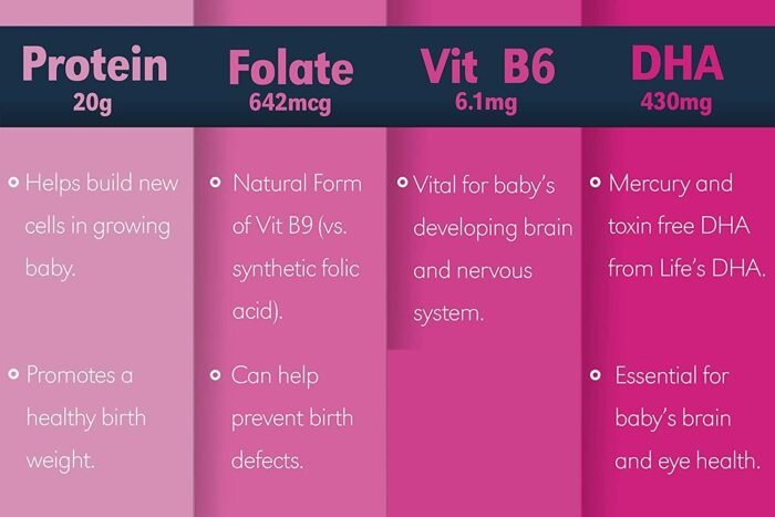 Baby Booster Pregnancy Protein Powder Vitamin Supplement Shake - OB/GYN Approved Prenatal & Postnatal Lactation Use - Morning Sickness Relief with Vegan DHA and Methyl Folate - Creamy Strawberry, 1 lb - Image 4