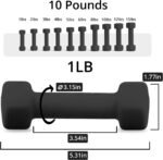 Portzon Weights Dumbbells with Neoprene Coating(Single), 1LB-3LB Anti-Roll, Anti-Slip, Hexagonal Home Fitness Equipment for Shoulder, Neck, and Hand Training for Seniors over 55 old - Image 3