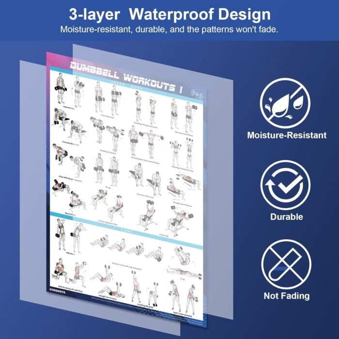 Dumbbell Workout Poster Set (2 Pack) - Workout Charts for Home Gym, Volume I & II - 18" x 24" with Enlarged Dumbbell Exercise Illustrations - Image 5