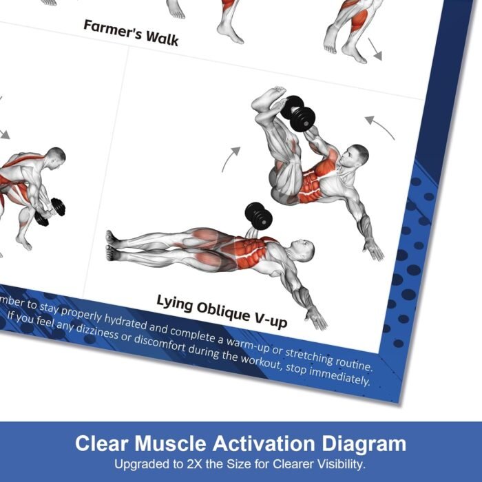 Dumbbell Workout Poster Set (2 Pack) - Workout Charts for Home Gym, Volume I & II - 18" x 24" with Enlarged Dumbbell Exercise Illustrations - Image 3