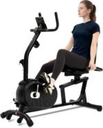 ECHANFIT Recumbent Exercise Bike for Home - 380LBS Weight Capacity, Exercise Bike with Smart Workout APP, 16-Level Magnetic Resistance, Backlit Display, Comfortable Seat - Image 2