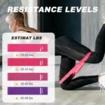 Pilates Ring Fitness Circles Set, Dual Padded Handles Home Pilates Equipment Set for Women Includes 2 Pilates Ring, 2 Pilates Mini Ball, and 5 Resistance Bands at Home Pilates Workout Set - Image 3