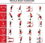11 PCS Resistance Bands Set, Exercise Tubes 63 inchs, Workout Bands with Handles,Door Anchor,Ankle Strap, Elastic Exercise Bands for Men Women with Protective Nylon Sleeves - up to 200lbs - Image 7