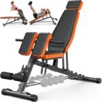 XDDIAS Roman Chair, Adjustable Weight Bench Back Extension Machine for Home Gym, 1000LBS All-in-One Sit Up Bench with Dumbbell Rack, Incline, Decline, and Flat Bench for Hyperextension, Core, Glute - Image 2