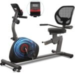 Recumbent Exercise Bike for Home Magnetic Stationary Bike for Adult Seniors, Workout Equipment for Gym, LCD, Heart Rate Handle,Indoor - Image 2