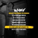 Mutant Whey – 100% Whey Protein Powder Shake, Gourmet Taste, 22g of Protein, Fast Absorbing, Easy Digesting, 5lbs - Triple Chocolate - Image 5