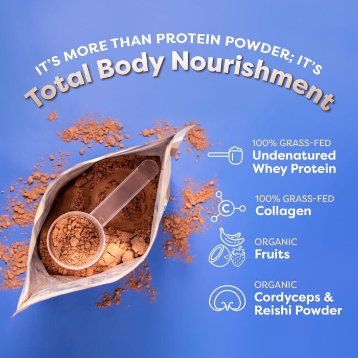 FlavCity Grass Fed Whey Protein Powder - Variety Pack - 25g Protein & 10g Collagen - 5 Single Serve Packets - Made with Organic Reishi & Cordyceps - Gluten Free & No Added Sugars - Image 5
