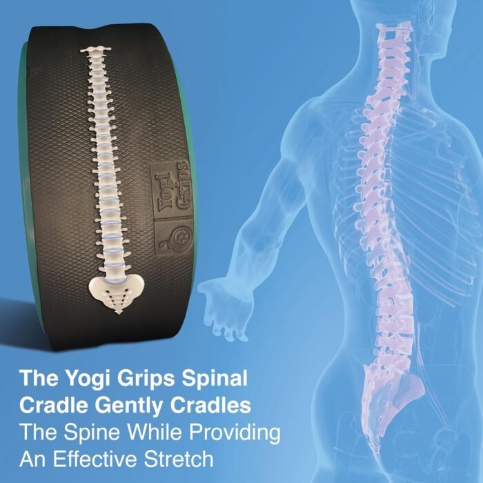 Back Roller Wheel- Foam Padded Back Stretcher Wheel with Center Spine Cradle-Back Pain & Stretching- Deep Tissue Massage Roller (Set of Four) - Image 5