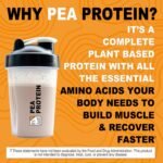 It's Just! - 100% Pea Protein, Vegan Plant Based, Grown in Canada, Premium Quality, Smooth Texture, Gluten Free, Keto Friendly (5 Pound, Unflavored) - Image 5