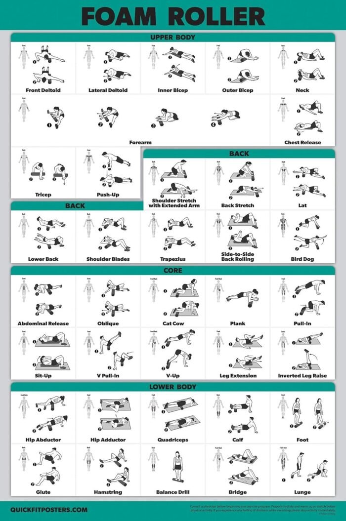 Palace Learning Foam Roller Exercise Poster - Stretching and Workout Routine for Foam Roller (Laminated, 18" x 24") - Image 2