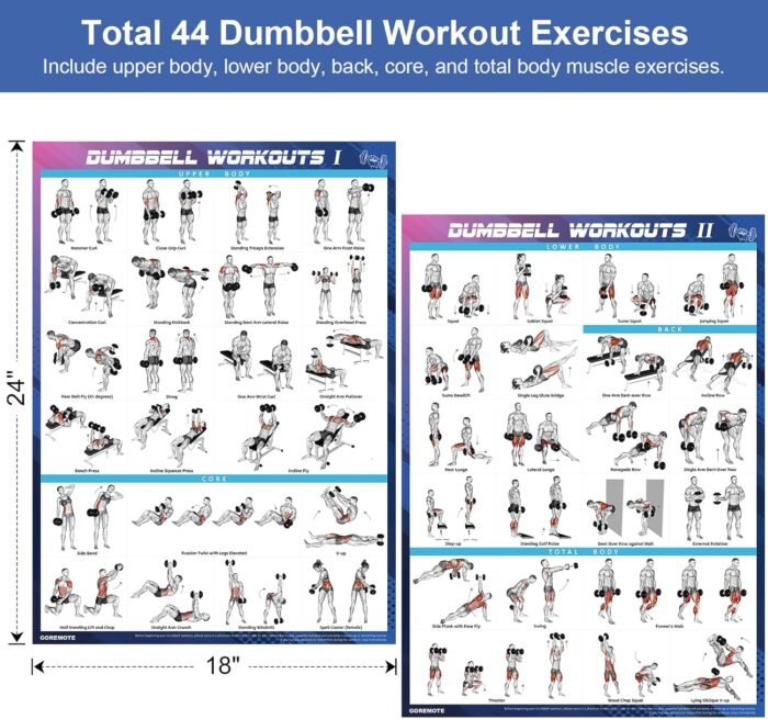 Dumbbell Workout Poster Set (2 Pack) - Workout Charts for Home Gym, Volume I & II - 18" x 24" with Enlarged Dumbbell Exercise Illustrations - Image 4
