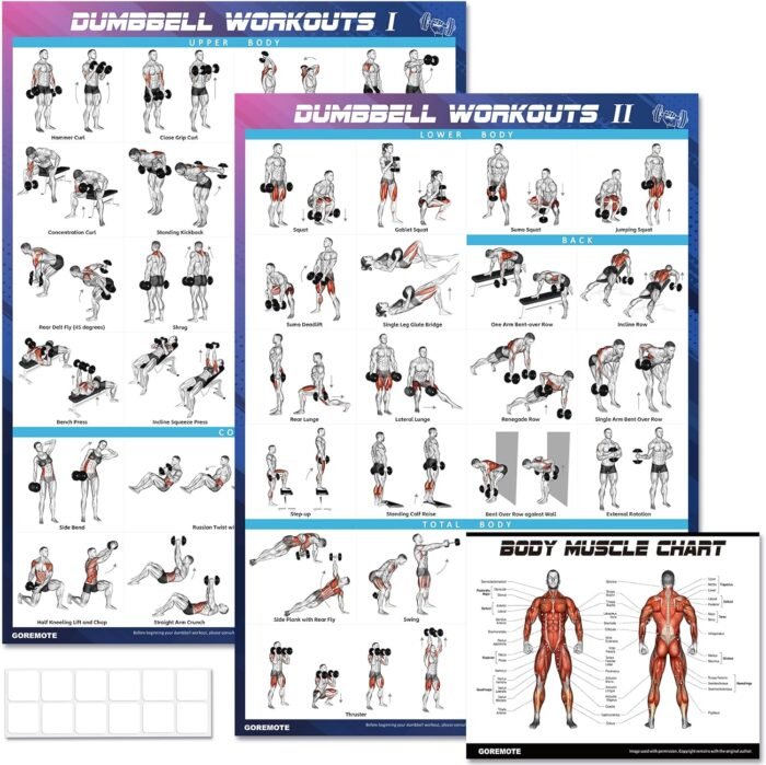 Dumbbell Workout Poster Set (2 Pack) - Workout Charts for Home Gym, Volume I & II - 18" x 24" with Enlarged Dumbbell Exercise Illustrations - Image 2